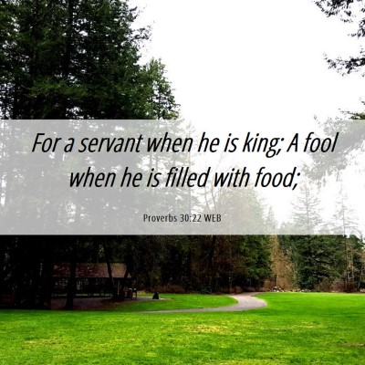 Picture 06 - Proverbs 30:22 WEB - For a servant when he is king; A fool when he is - Bible Verse Picture