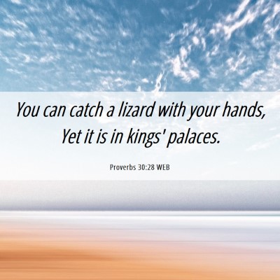 Picture 06 - Proverbs 30:28 WEB - You can catch a lizard with your hands, Yet it is - Bible Verse Picture