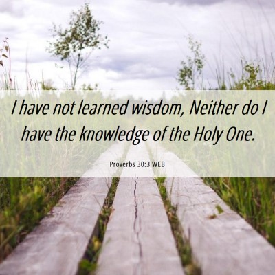 Picture 06 - Proverbs 30:3 WEB - I have not learned wisdom, Neither do I have the - Bible Verse Picture