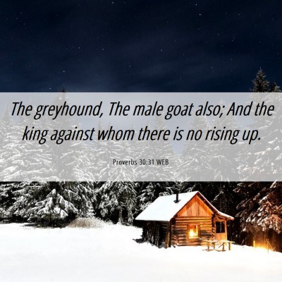 Picture 06 - Proverbs 30:31 WEB - The greyhound, The male goat also; And the king - Bible Verse Picture