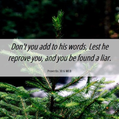 Picture 06 - Proverbs 30:6 WEB - Don't you add to his words, Lest he reprove you, - Bible Verse Picture