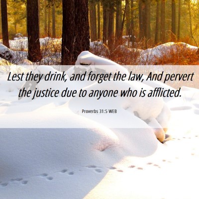 Picture 06 - Proverbs 31:5 WEB - Lest they drink, and forget the law, And pervert - Bible Verse Picture