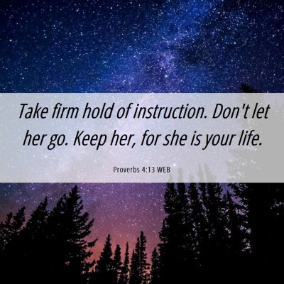 Picture 06 - Proverbs 4:13 WEB - Take firm hold of instruction. Don't let her go. - Bible Verse Picture