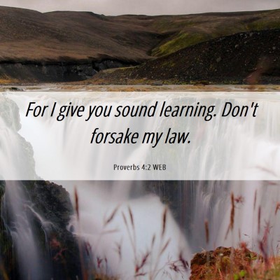 Picture 06 - Proverbs 4:2 WEB - For I give you sound learning. Don't forsake my - Bible Verse Picture
