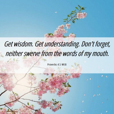 Picture 06 - Proverbs 4:5 WEB - Get wisdom. Get understanding. Don't forget, - Bible Verse Picture