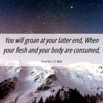 Picture 06 - Proverbs 5:11 WEB - You will groan at your latter end, When your - Bible Verse Picture