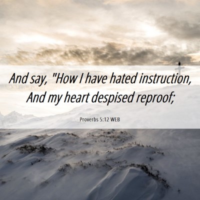 Picture 06 - Proverbs 5:12 WEB - And say, 