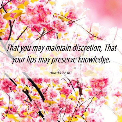 Picture 06 - Proverbs 5:2 WEB - That you may maintain discretion, That your lips - Bible Verse Picture