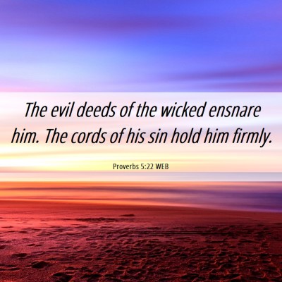 Picture 06 - Proverbs 5:22 WEB - The evil deeds of the wicked ensnare him. The - Bible Verse Picture