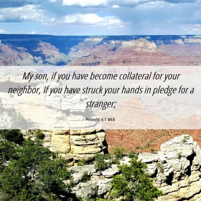 Picture 06 - Proverbs 6:1 WEB - My son, if you have become collateral for your - Bible Verse Picture