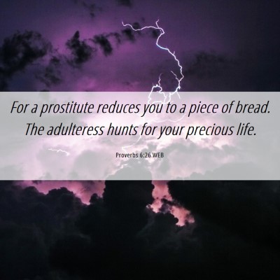 Picture 06 - Proverbs 6:26 WEB - For a prostitute reduces you to a piece of bread. - Bible Verse Picture