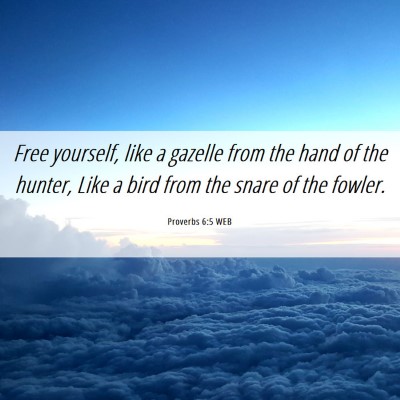 Picture 06 - Proverbs 6:5 WEB - Free yourself, like a gazelle from the hand of - Bible Verse Picture