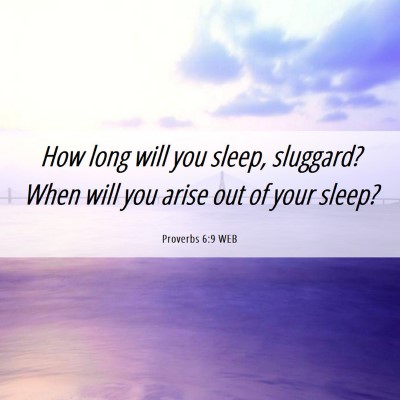 Picture 06 - Proverbs 6:9 WEB - How long will you sleep, sluggard? When will you - Bible Verse Picture