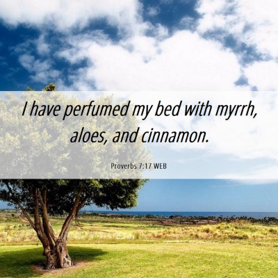 Picture 06 - Proverbs 7:17 WEB - I have perfumed my bed with myrrh, aloes, and - Bible Verse Picture