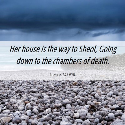 Picture 06 - Proverbs 7:27 WEB - Her house is the way to Sheol, Going down to the - Bible Verse Picture