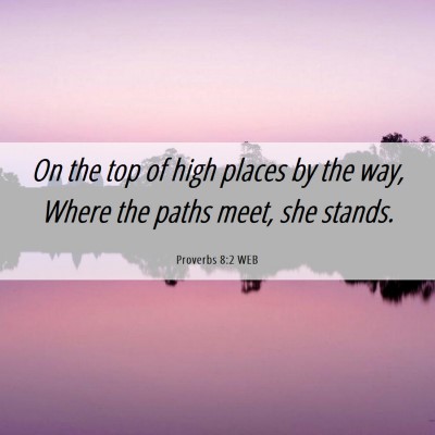 Picture 06 - Proverbs 8:2 WEB - On the top of high places by the way, Where the - Bible Verse Picture
