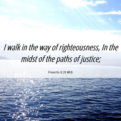 Picture 06 - Proverbs 8:20 WEB - I walk in the way of righteousness, In the midst - Bible Verse Picture