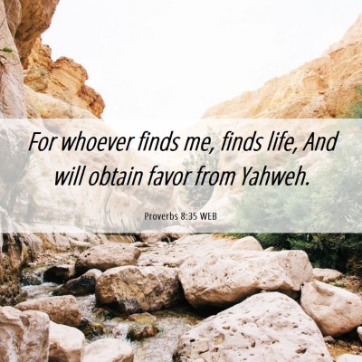 Picture 06 - Proverbs 8:35 WEB - For whoever finds me, finds life, And will obtain - Bible Verse Picture