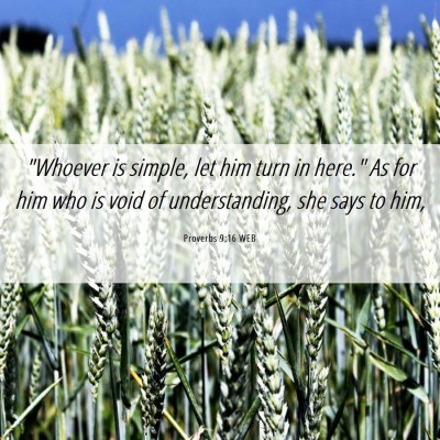 Picture 06 - Proverbs 9:16 WEB - 
