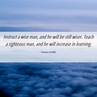 Picture 06 - Proverbs 9:9 WEB - Instruct a wise man, and he will be still wiser. - Bible Verse Picture
