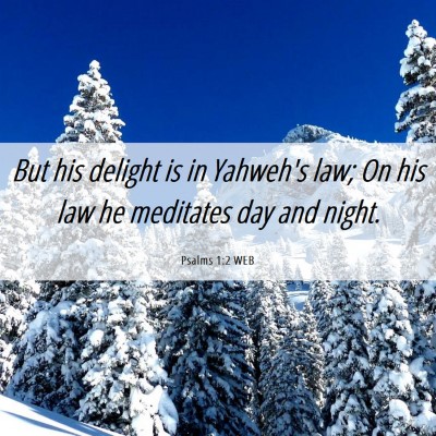 Picture 06 - Psalms 1:2 WEB - But his delight is in Yahweh's law; On his law he - Bible Verse Picture