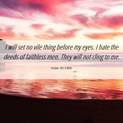 Picture 06 - Psalms 101:3 WEB - I will set no vile thing before my eyes. I hate - Bible Verse Picture