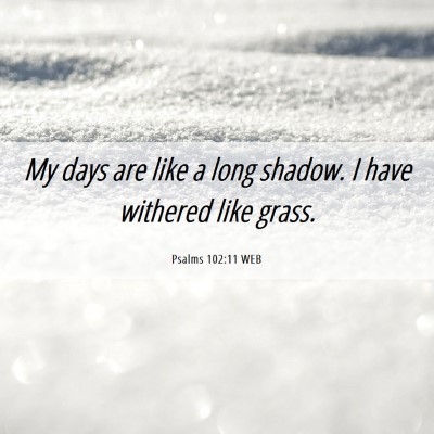 Picture 06 - Psalms 102:11 WEB - My days are like a long shadow. I have withered - Bible Verse Picture