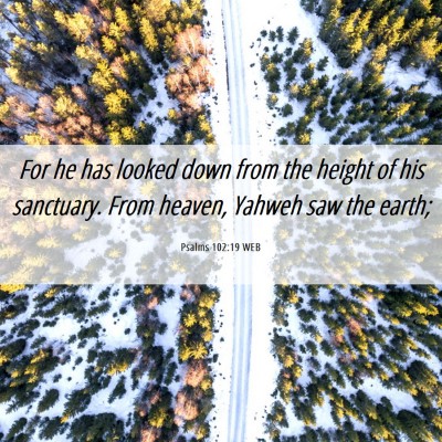 Picture 06 - Psalms 102:19 WEB - For he has looked down from the height of his - Bible Verse Picture