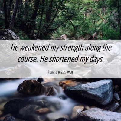 Picture 06 - Psalms 102:23 WEB - He weakened my strength along the course. He - Bible Verse Picture