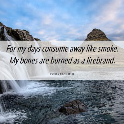 Picture 06 - Psalms 102:3 WEB - For my days consume away like smoke. My bones are - Bible Verse Picture