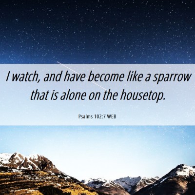 Picture 06 - Psalms 102:7 WEB - I watch, and have become like a sparrow that is - Bible Verse Picture