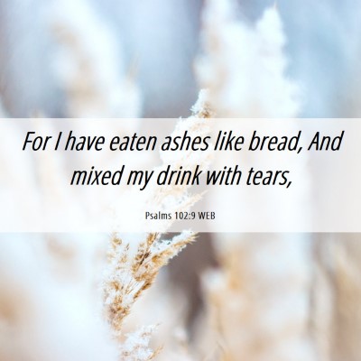 Picture 06 - Psalms 102:9 WEB - For I have eaten ashes like bread, And mixed my - Bible Verse Picture