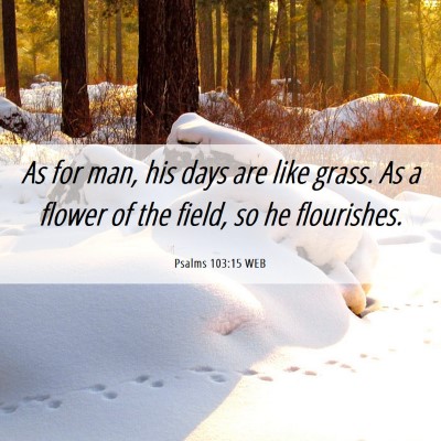 Picture 06 - Psalms 103:15 WEB - As for man, his days are like grass. As a flower - Bible Verse Picture