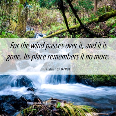 Picture 06 - Psalms 103:16 WEB - For the wind passes over it, and it is gone. Its - Bible Verse Picture