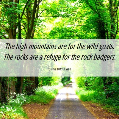 Picture 06 - Psalms 104:18 WEB - The high mountains are for the wild goats. The - Bible Verse Picture