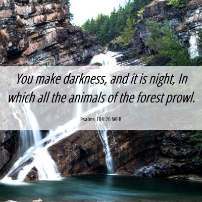 Picture 06 - Psalms 104:20 WEB - You make darkness, and it is night, In which all - Bible Verse Picture