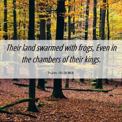Picture 06 - Psalms 105:30 WEB - Their land swarmed with frogs, Even in the - Bible Verse Picture
