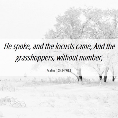 Picture 06 - Psalms 105:34 WEB - He spoke, and the locusts came, And the - Bible Verse Picture