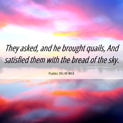 Picture 06 - Psalms 105:40 WEB - They asked, and he brought quails, And satisfied - Bible Verse Picture