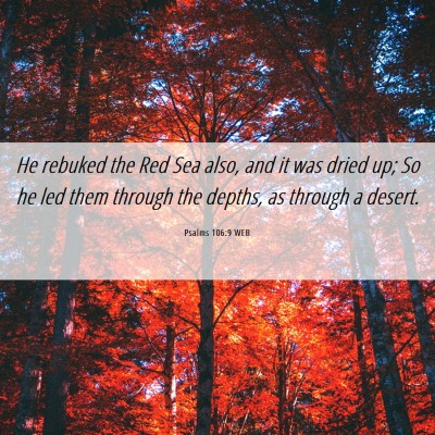 Picture 06 - Psalms 106:9 WEB - He rebuked the Red Sea also, and it was dried up; - Bible Verse Picture