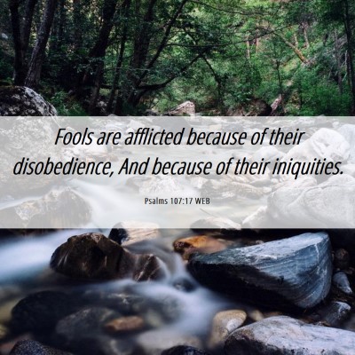 Picture 06 - Psalms 107:17 WEB - Fools are afflicted because of their - Bible Verse Picture