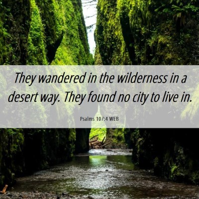 Picture 06 - Psalms 107:4 WEB - They wandered in the wilderness in a desert way. - Bible Verse Picture