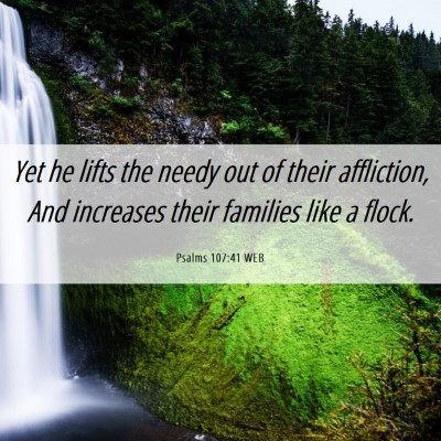 Picture 06 - Psalms 107:41 WEB - Yet he lifts the needy out of their affliction, - Bible Verse Picture