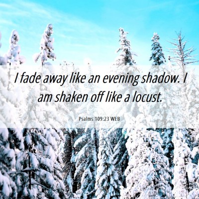 Picture 06 - Psalms 109:23 WEB - I fade away like an evening shadow. I am shaken - Bible Verse Picture