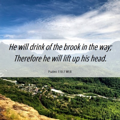 Picture 06 - Psalms 110:7 WEB - He will drink of the brook in the way; Therefore - Bible Verse Picture