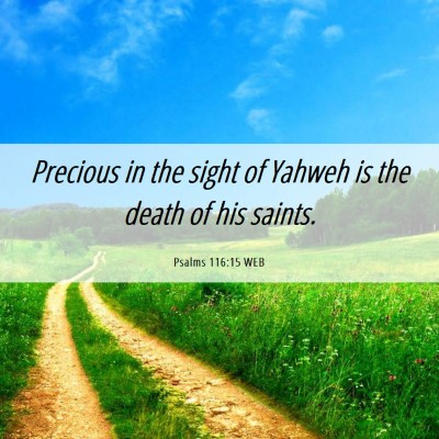 Picture 06 - Psalms 116:15 WEB - Precious in the sight of Yahweh is the death of - Bible Verse Picture
