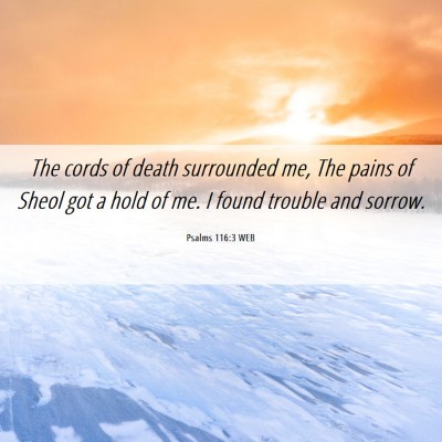 Picture 06 - Psalms 116:3 WEB - The cords of death surrounded me, The pains of - Bible Verse Picture