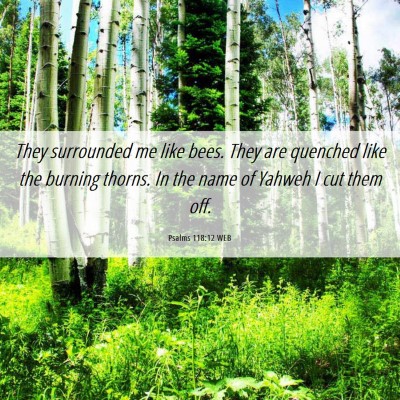 Picture 06 - Psalms 118:12 WEB - They surrounded me like bees. They are quenched - Bible Verse Picture