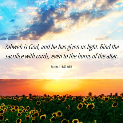 Picture 06 - Psalms 118:27 WEB - Yahweh is God, and he has given us light. Bind - Bible Verse Picture