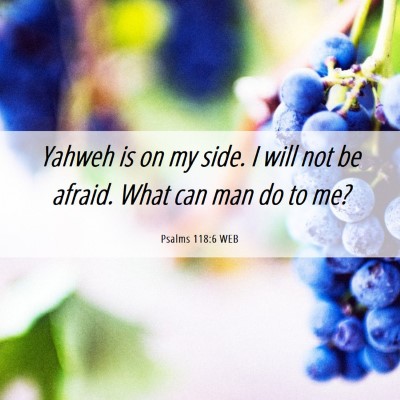Picture 06 - Psalms 118:6 WEB - Yahweh is on my side. I will not be afraid. What - Bible Verse Picture